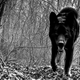 Image: Nathan Siemers/Flickr
